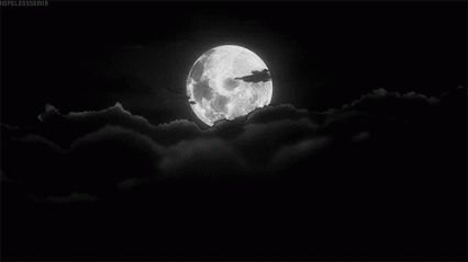 Night Moon
